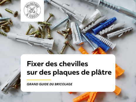 Visuel de Article